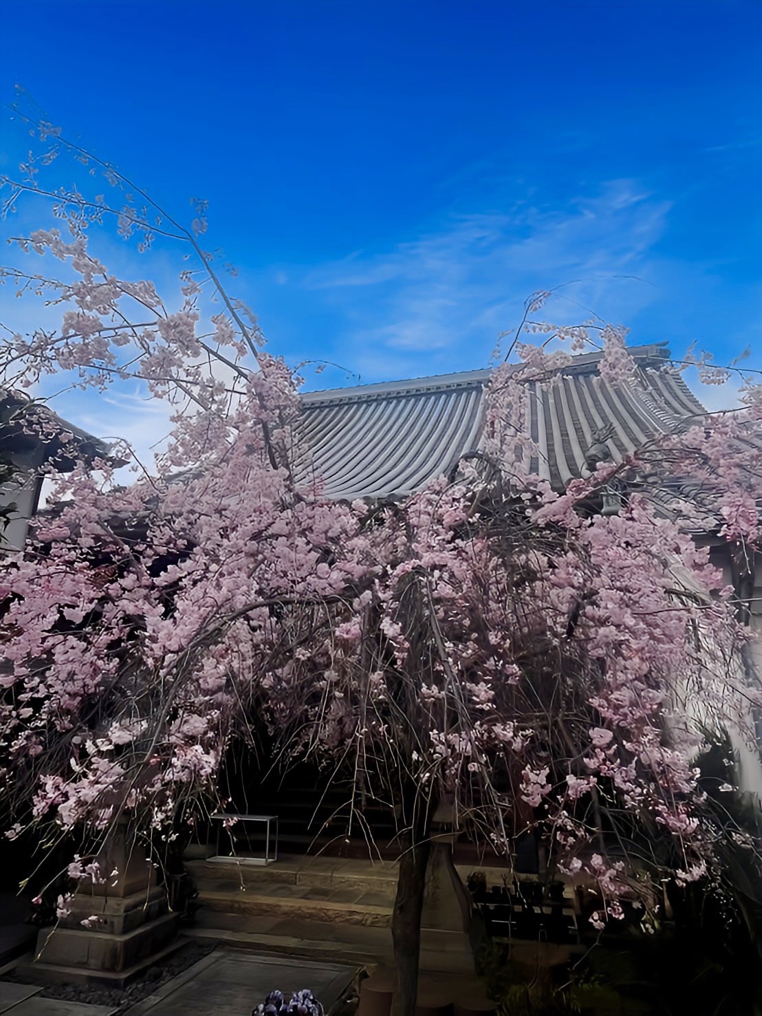 心光寺